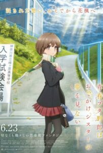 Этот Глупый Свин Не Понимает Мечту Сестры на Прогулке Постер Фильм на Animego Посмотреть